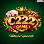 C222 Game logo