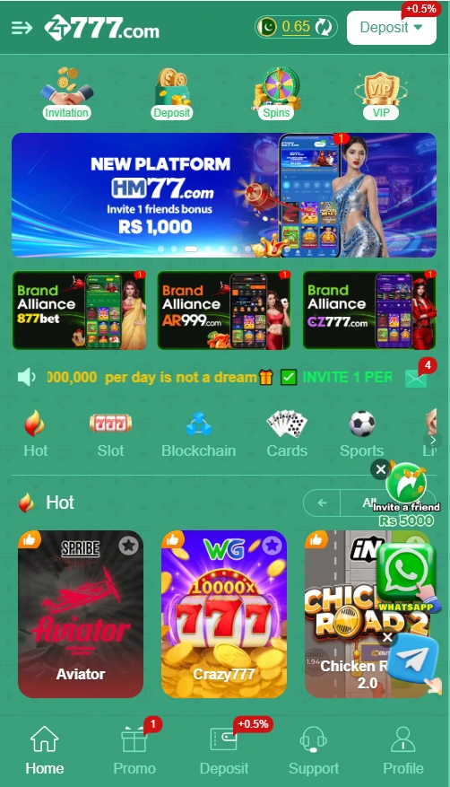 TZ999 Game interface image