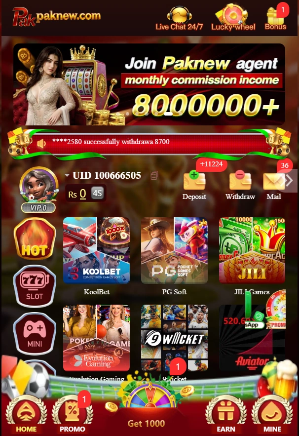 PakNew Game interface screenshot