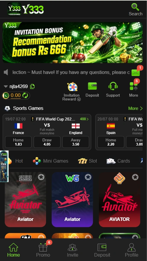 Y333 Game interface