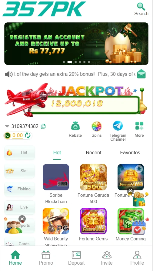 357PK Game interface