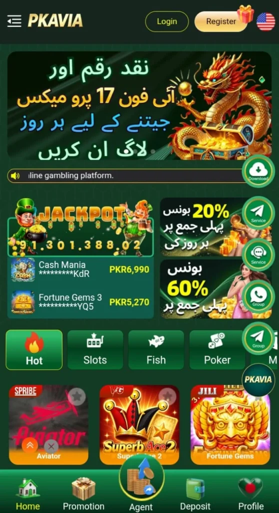 PkAvia Game interface