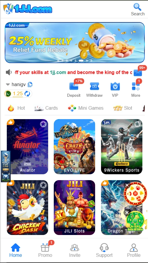 1JJ Game interface