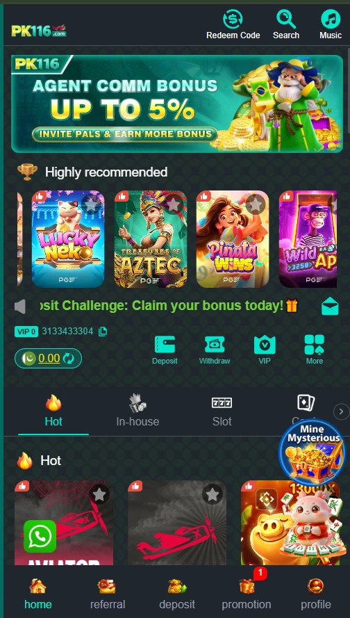 PK116 Game interface